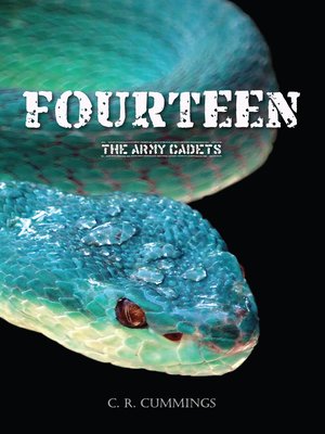 cover image of Fourteen